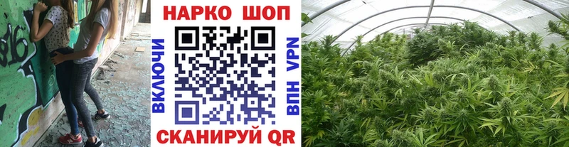 Наркота Мценск ГАШИШ Cocaine Псилоцибиновые грибы СК Бошки Шишки Мефедрон