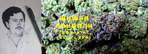 apvp Балахна