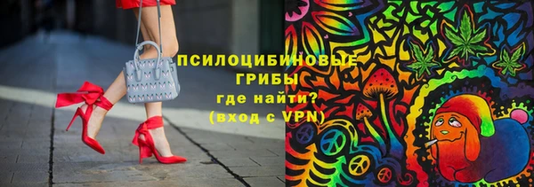 apvp Балахна