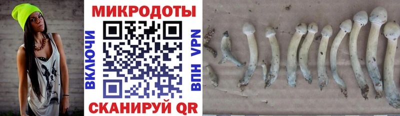 Галлюциногенные грибы Magic Shrooms  Мценск 